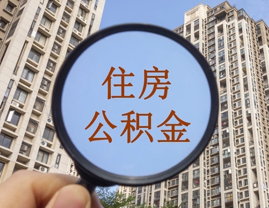 哈尔滨怎么举报公积金小广告（住房公积金怎么举报）